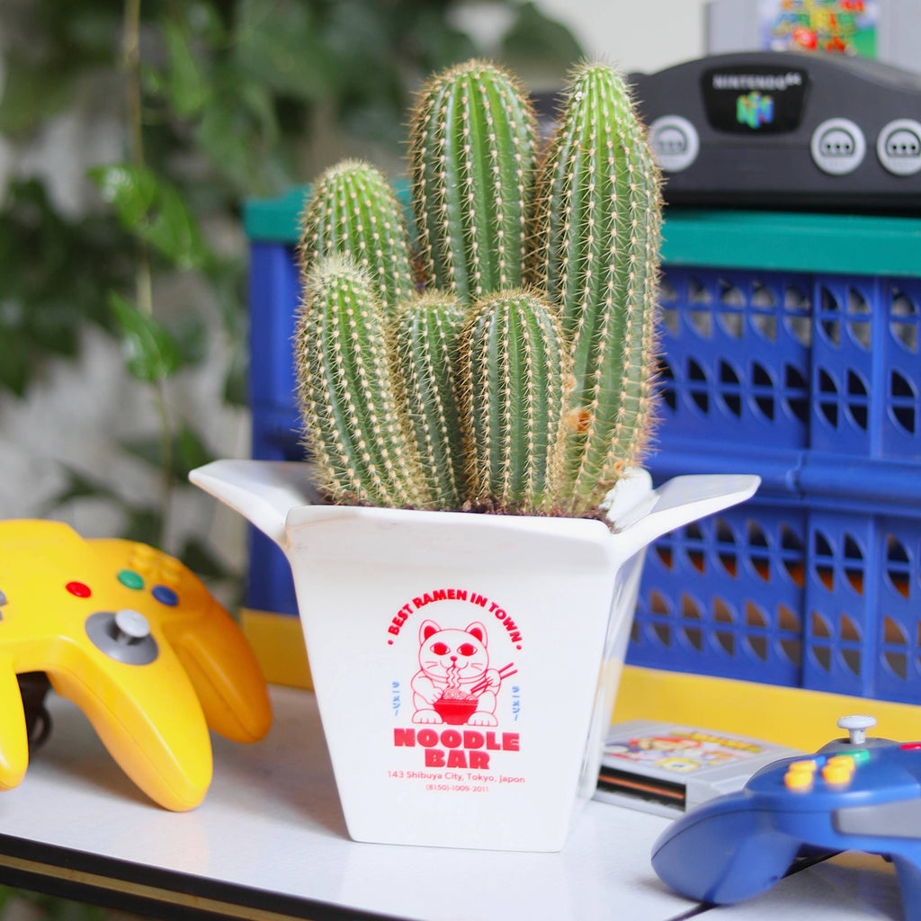 Takeout Vase